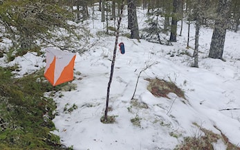 Lørdagsløp fra Ormåsen 11. nov